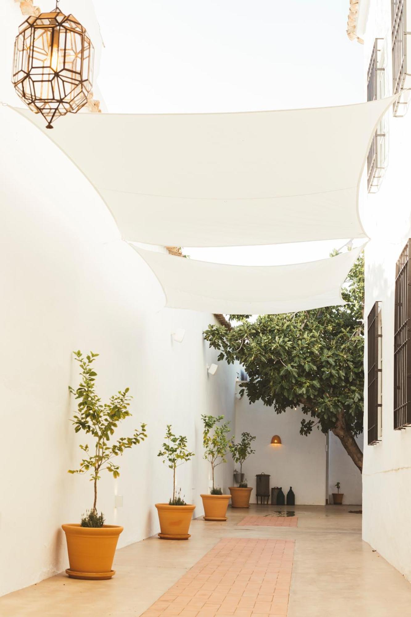 Casa Del Medico Hotel Boutique Алькасар-де-Сан-Хуан Экстерьер фото